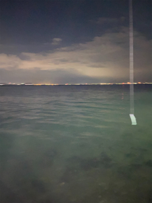 シーバス誕生日釣行