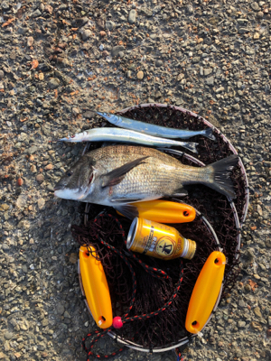 波止フカセ釣り