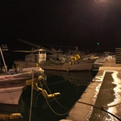 カサゴやメバルなど