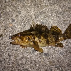 1時間だけライトゲーム