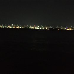 年が明けても好調