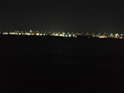 年が明けても好調