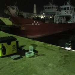 ヒイカ釣り…渋すぎ(＞＜)