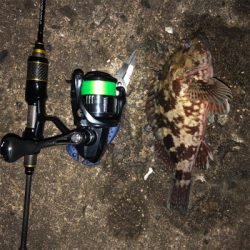 年始はアジメバガシリング☆GUNNING-STYLE