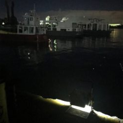 ポツリ…ポツリ…で何とかヒイカ12杯σ(^_^;)