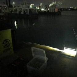 寒くて渋いヒイカ釣り(><)