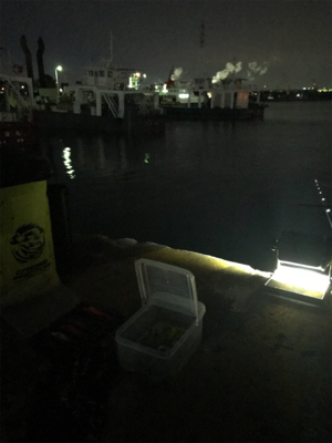 寒くて渋いヒイカ釣り(><)