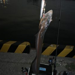 小気味良い当たりがいいんです。