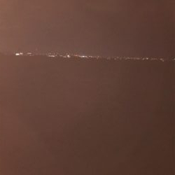 今年の運だめし!