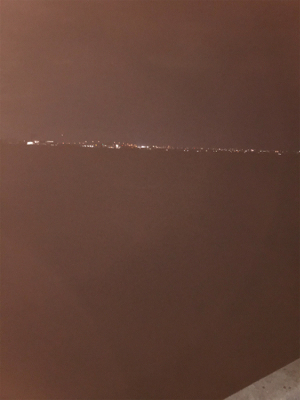 今年の運だめし!