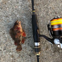 水温下がってきた？