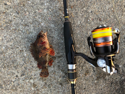 水温下がってきた？