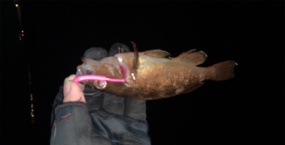 ライトリグでガヤ祭り！