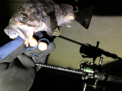 ワイワイフィッシング