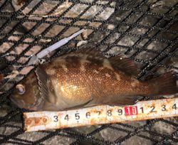 小潮でひと段落！？