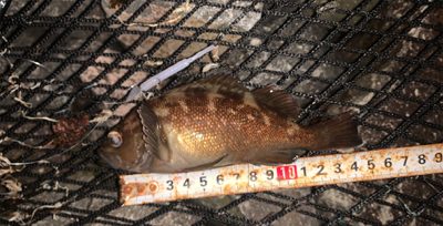 小潮でひと段落！？