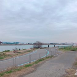 フラットフィッシュ