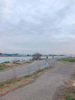 フラットフィッシュ