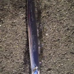 アジング練習 99