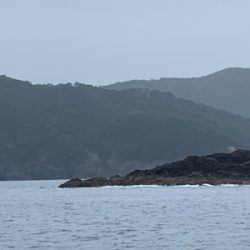 三重県紀北町 沖磯グレ