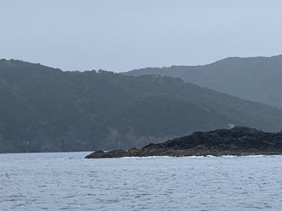 三重県紀北町 沖磯グレ