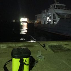 爆釣…と、思ったら渋いヒイカ釣り(＞＜)