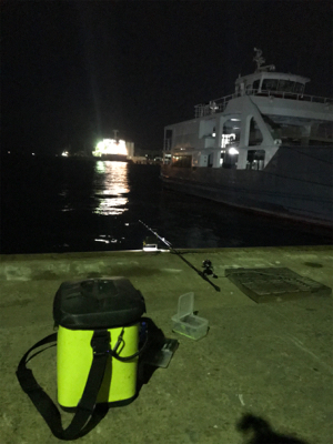 爆釣…と、思ったら渋いヒイカ釣り(＞＜)