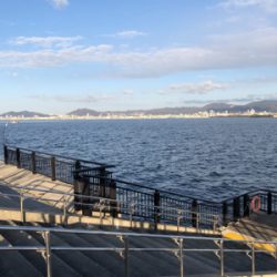 メバル・ガシラ釣果