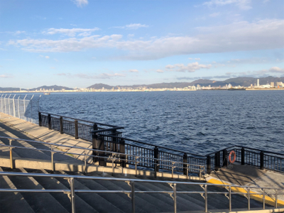 メバル・ガシラ釣果