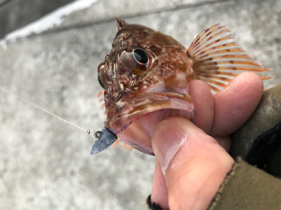 2020ライトゲーム第3戦