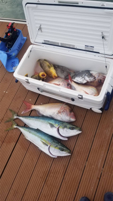 鯛ラバとスロージギング