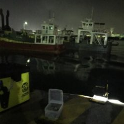 まだまだヒイカ釣り(^。^)