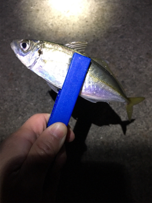 ライトゲーム、アジ・メバル