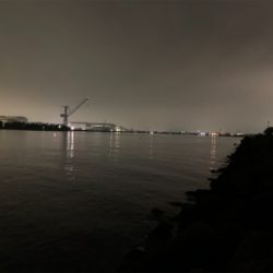 ガッシー⑤ みかんはお好き⁉︎