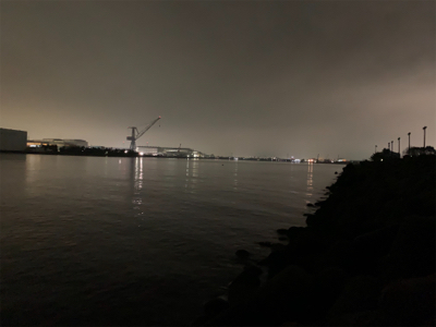 ガッシー⑤ みかんはお好き⁉︎