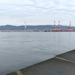 今年初フィッシュ!