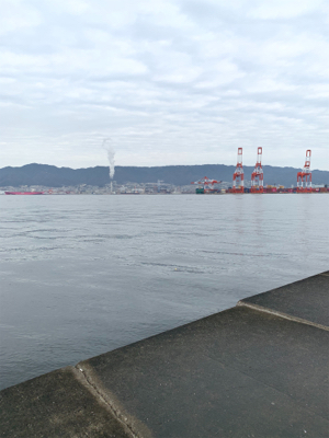 今年初フィッシュ!