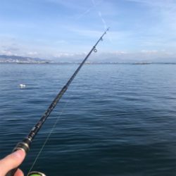 デーメバリング