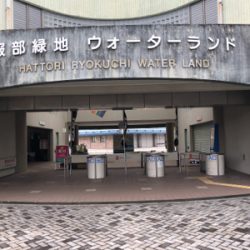 服部緑地 トラウト