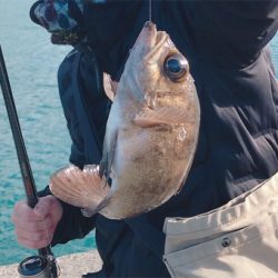 初エビ撒き釣り