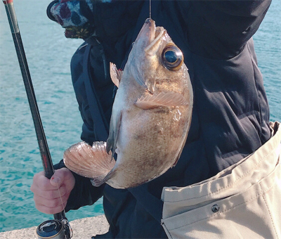 初エビ撒き釣り