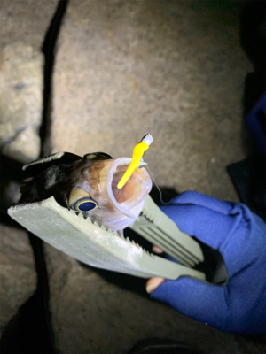 停めれないし、釣れない