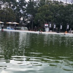 服部緑地　番組収録後で放流魚多数