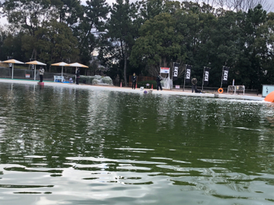 服部緑地　番組収録後で放流魚多数