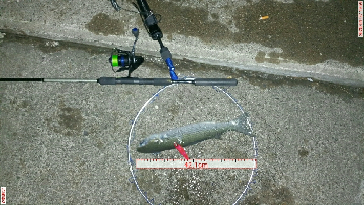 スレががりの日