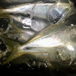 平日３時間サービスタイム！