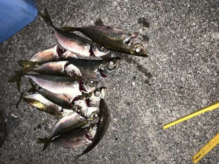 アジングオール