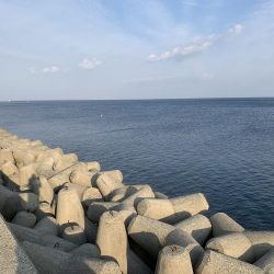 釣りってわからない…