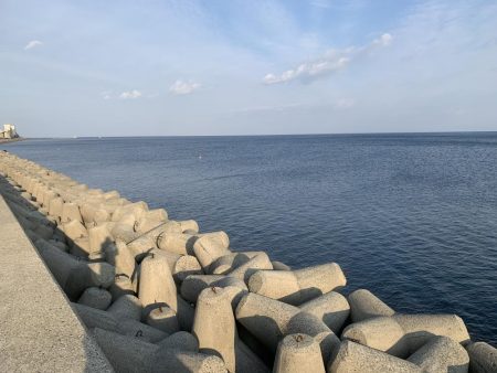 釣りってわからない…