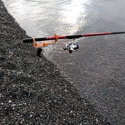 大きくなってきましたね(^^)